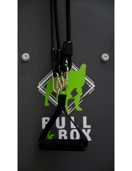 SISTEMA DE ENTRENAMIENTO EN CASA BULL&BOX - ()