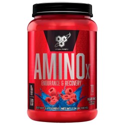 Amino X  1,01KG (BSN)